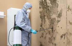 Best Environmental Consulting for Mold Prevention in Fris, CO